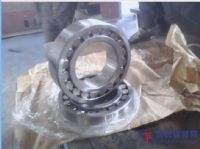 日本JNS調(diào)心滾子軸承代理商河南JNS軸承經(jīng)銷(xiāo)商