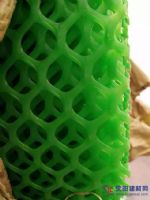 廠家批發(fā)養(yǎng)殖業(yè)萬(wàn)能網(wǎng) 塑料平網(wǎng) 養(yǎng)雞塑料網(wǎng) 植被護(hù)