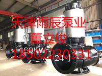 雨辰泵業(yè)大流量高揚程不銹鋼潛水排污泵生產(chǎn)廠家