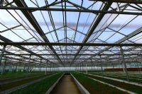 溫室陽(yáng)光板8mm、10mm陽(yáng)光板價(jià)格7年板